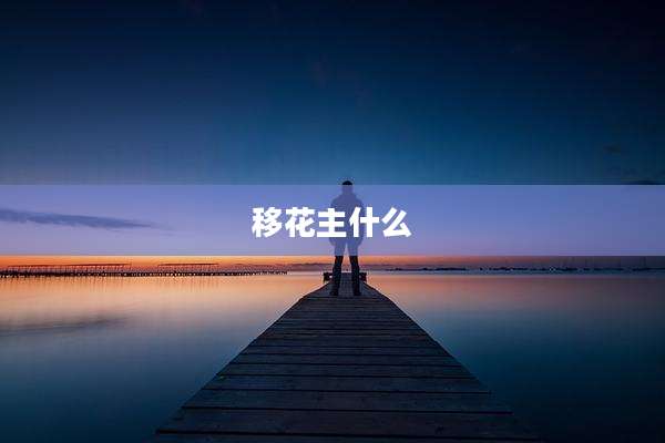 移花主什么