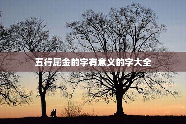 五行属金的字有意义的字大全