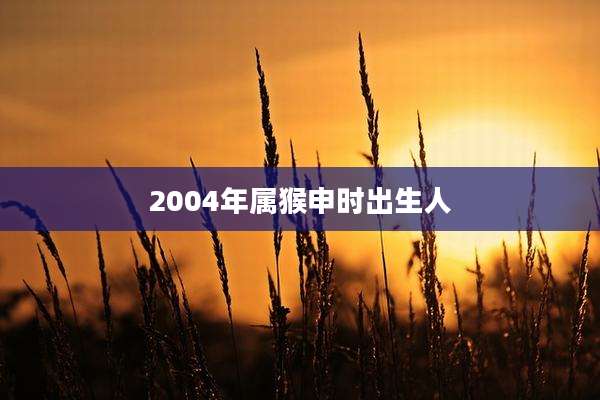 2004年属猴申时出生人