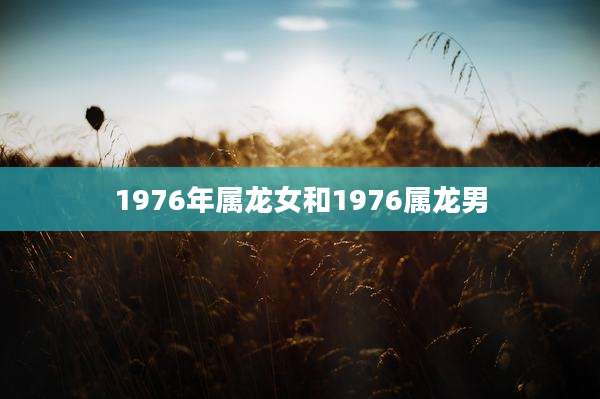 1976年属龙女和1976属龙男