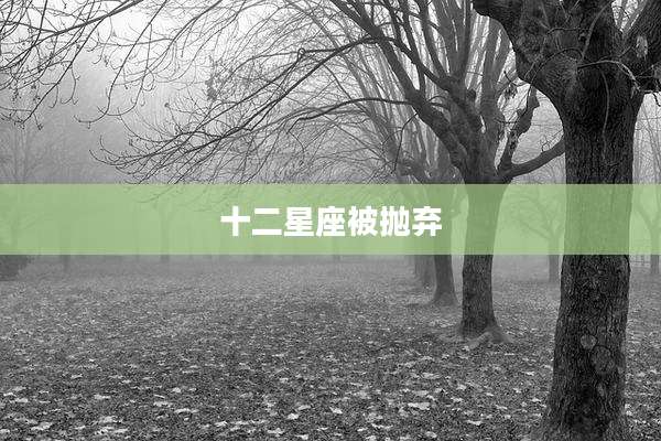 十二星座被抛弃