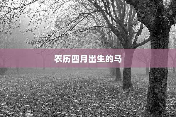 农历四月出生的马