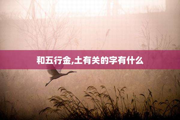 和五行金,土有关的字有什么