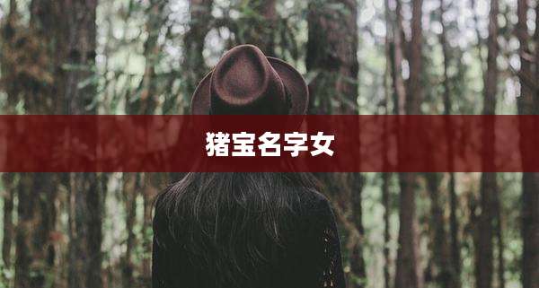 猪宝名字女