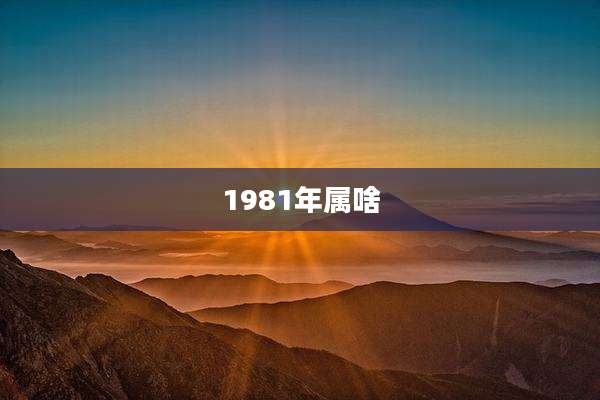 1981年属啥