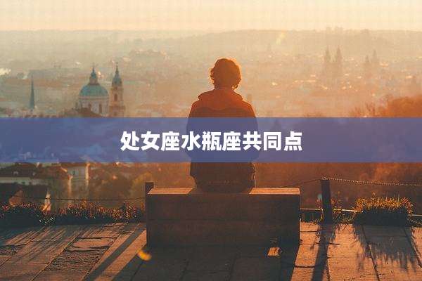 处女座水瓶座共同点