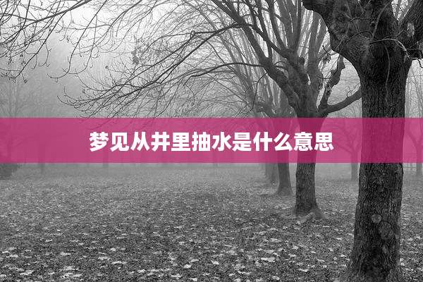 梦见从井里抽水是什么意思