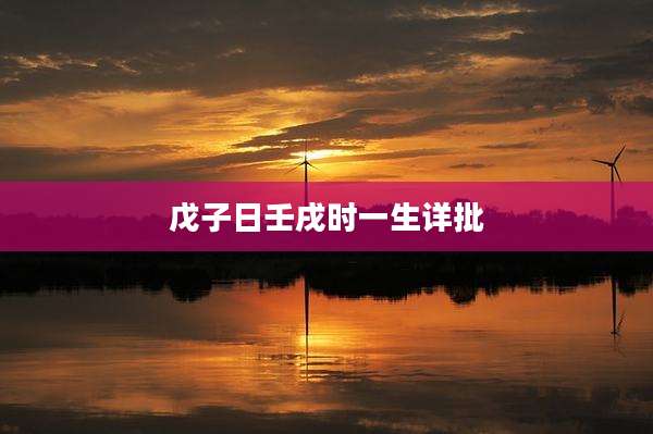 戊子日壬戌时一生详批