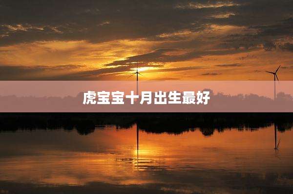 虎宝宝十月出生最好
