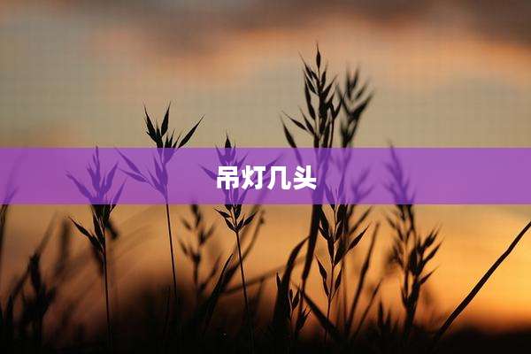 吊灯几头
