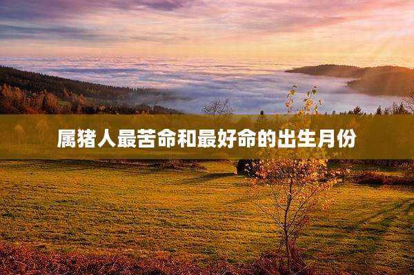 属猪人最苦命和最好命的出生月份