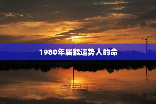 1980年属猴运势人的命