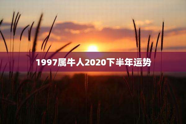 1997属牛人2020下半年运势