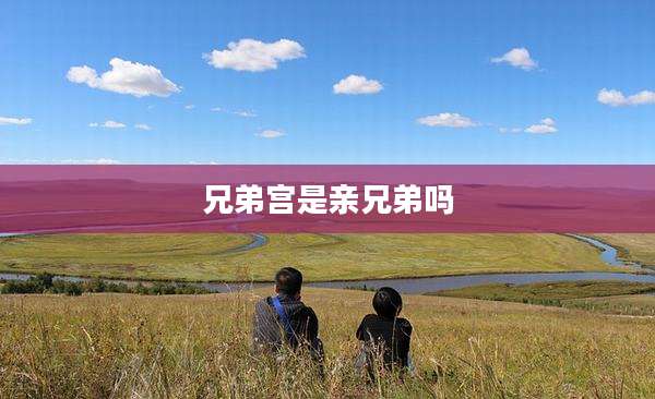兄弟宫是亲兄弟吗