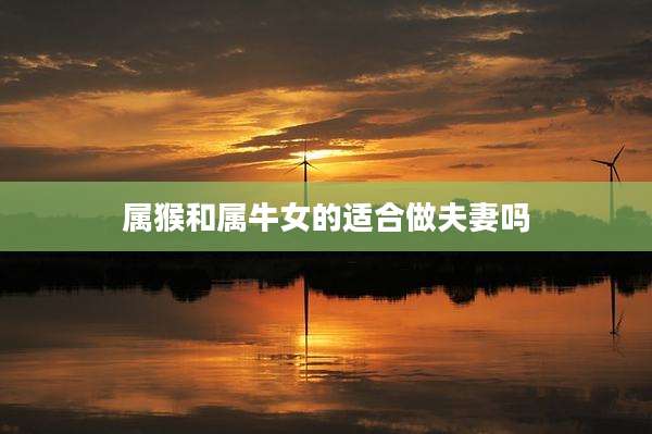 属猴和属牛女的适合做夫妻吗