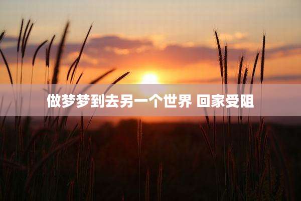 做梦梦到去另一个世界 回家受阻