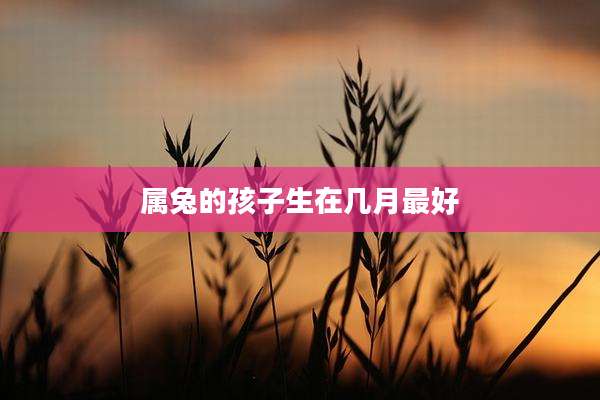 属兔的孩子生在几月最好