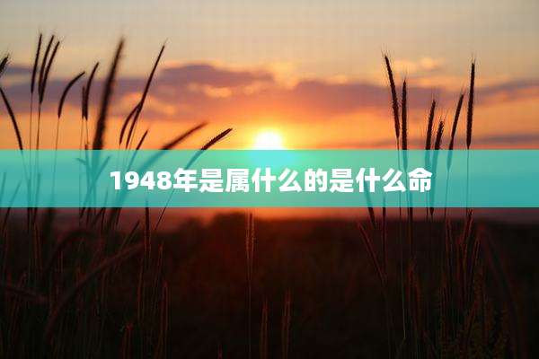 1948年是属什么的是什么命