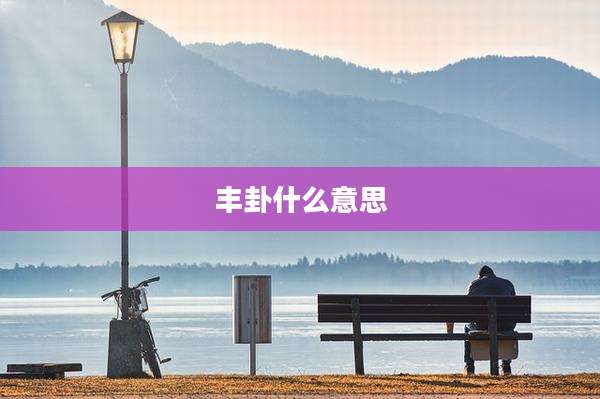 丰卦什么意思