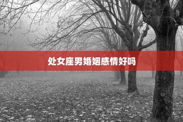 处女座男婚姻感情好吗