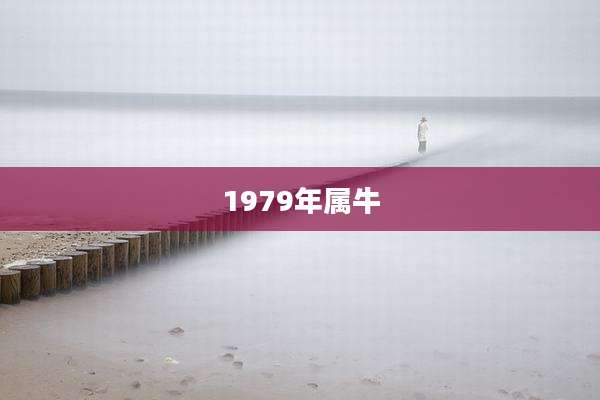 1979年属牛
