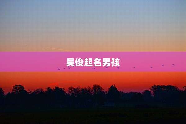 吴俊起名男孩