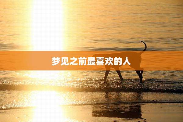 梦见之前最喜欢的人