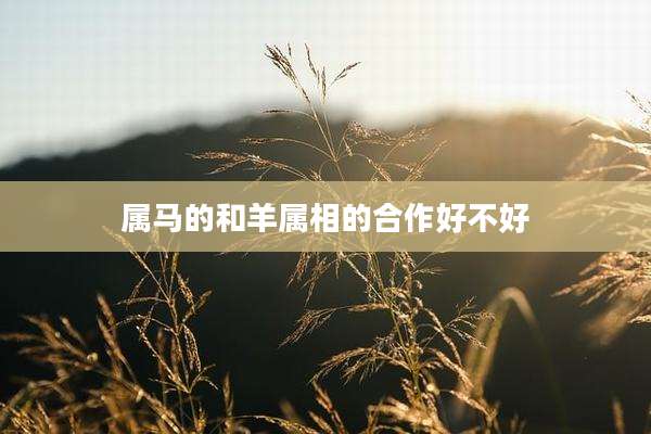 属马的和羊属相的合作好不好