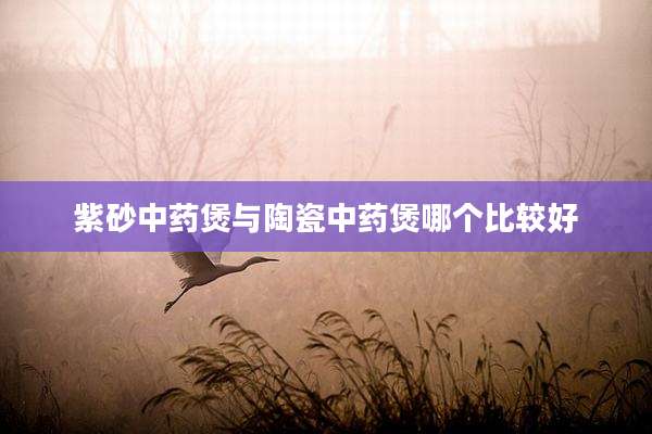 紫砂中药煲与陶瓷中药煲哪个比较好