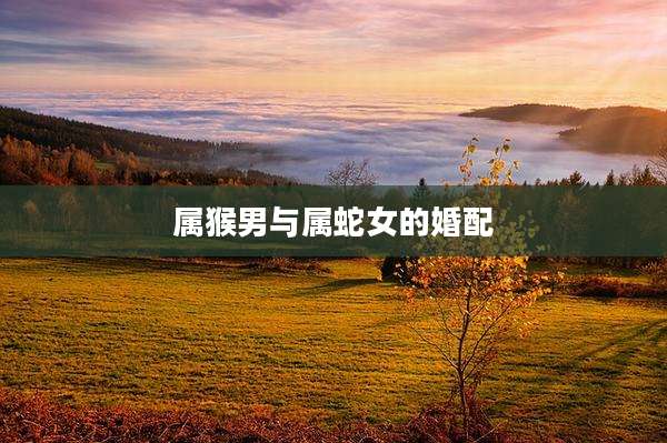 属猴男与属蛇女的婚配