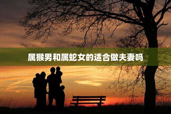 属猴男和属蛇女的适合做夫妻吗
