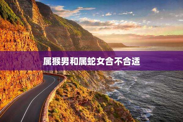 属猴男和属蛇女合不合适