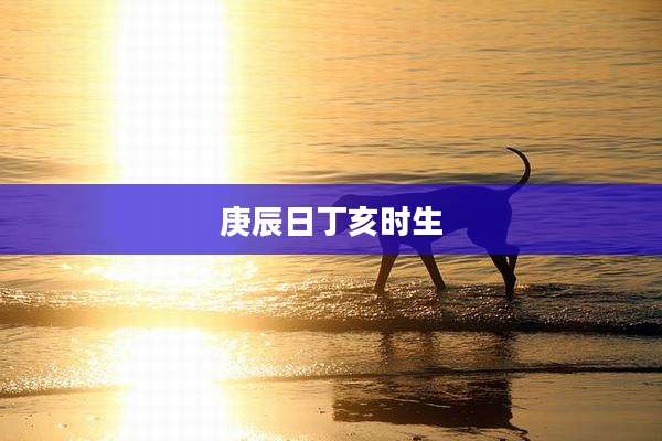 庚辰日丁亥时生