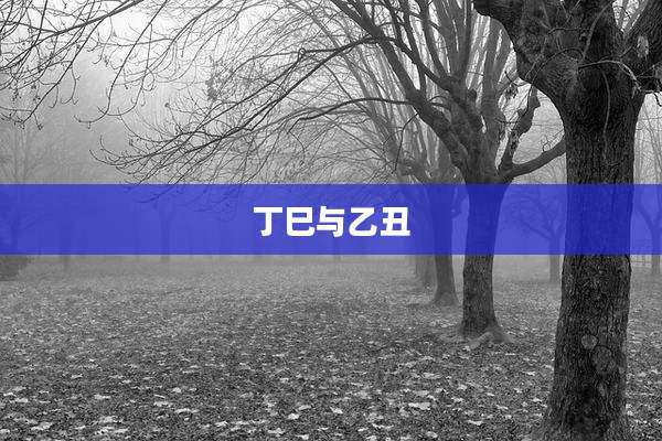 丁巳与乙丑
