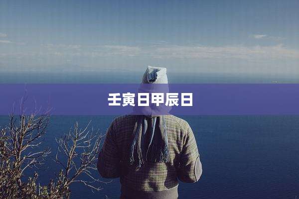 壬寅日甲辰日