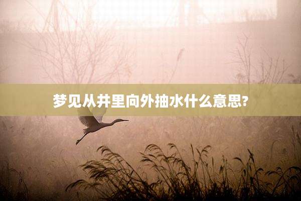 梦见从井里向外抽水什么意思?