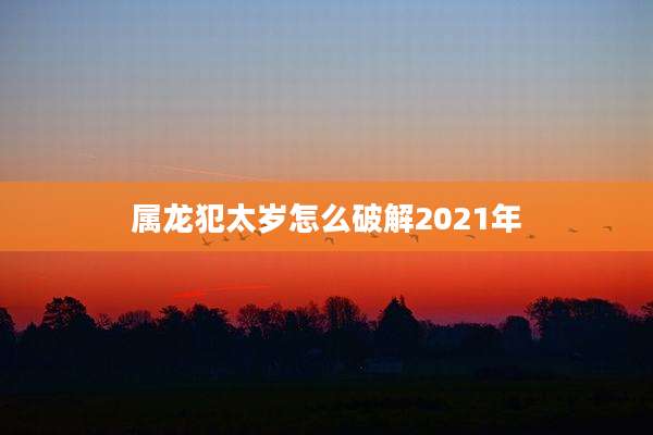 属龙犯太岁怎么破解2021年