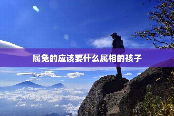 属兔的应该要什么属相的孩子