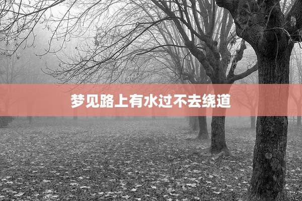 梦见路上有水过不去绕道