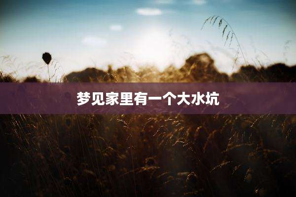 梦见家里有一个大水坑