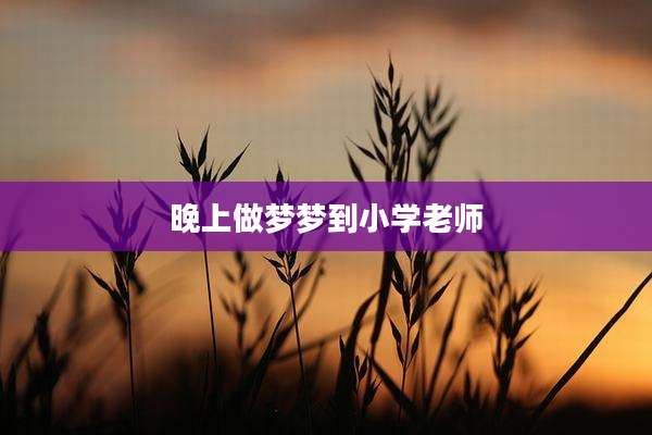 晚上做梦梦到小学老师