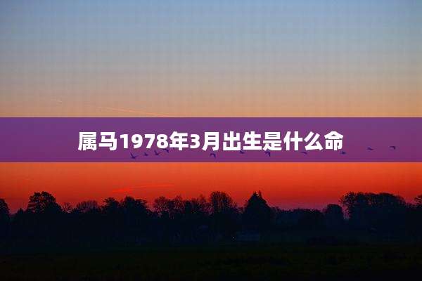 属马1978年3月出生是什么命