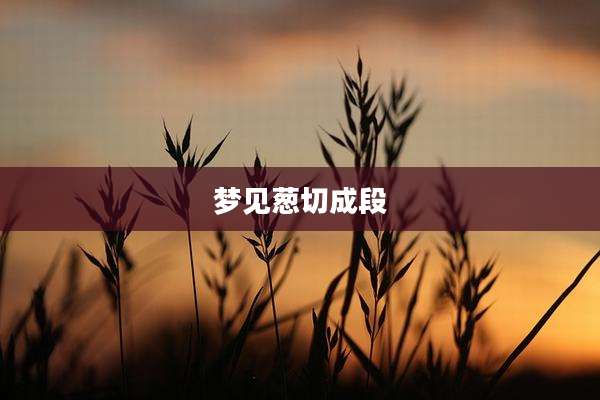 梦见葱切成段