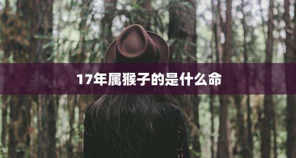 17年属猴子的是什么命