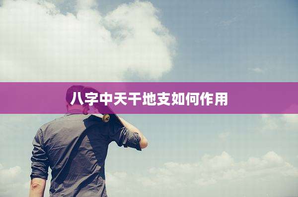八字中天干地支如何作用