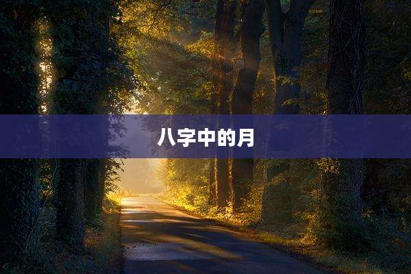 八字中的月