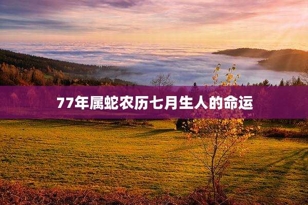 77年属蛇农历七月生人的命运