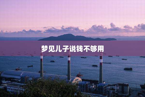 梦见儿子说钱不够用