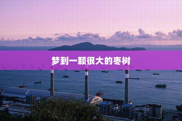 梦到一颗很大的枣树