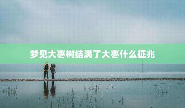 梦见大枣树结满了大枣什么征兆